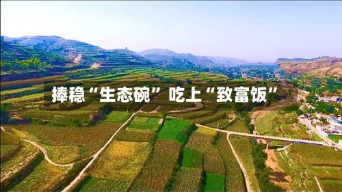捧稳“生态碗” 吃上“致富饭	”-第2张图片