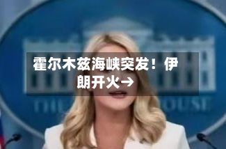 霍尔木兹海峡突发！伊朗开火→-第2张图片