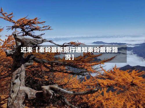 近来【秦岭最新限行通知秦岭最新路况】-第2张图片