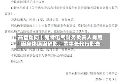 高管动向｜新特电气财务负责人肖崴因身体原因辞职，董事长代行职责-第1张图片