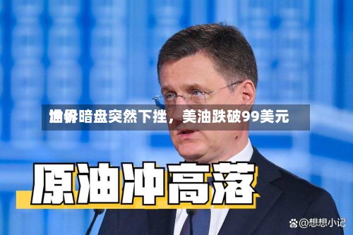 世界油价暗盘突然下挫，美油跌破99美元-第2张图片