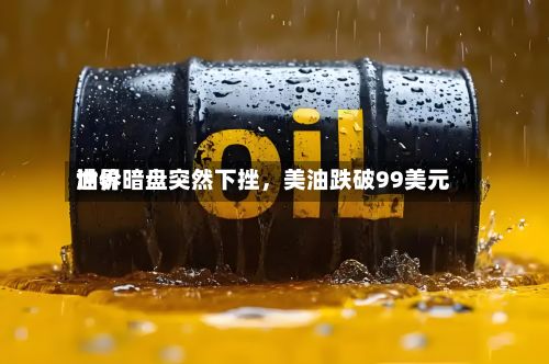 世界油价暗盘突然下挫	，美油跌破99美元-第3张图片