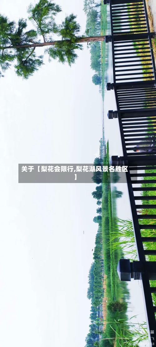 关于【梨花会限行,梨花湖风景名胜区】-第2张图片