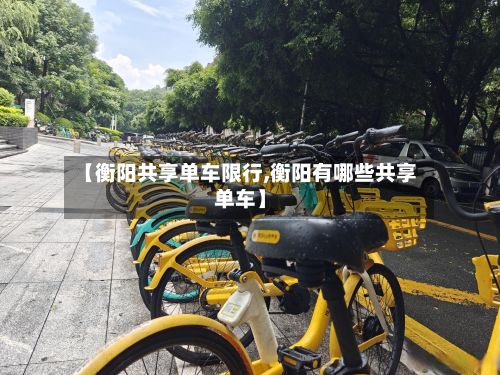 【衡阳共享单车限行,衡阳有哪些共享单车】-第3张图片