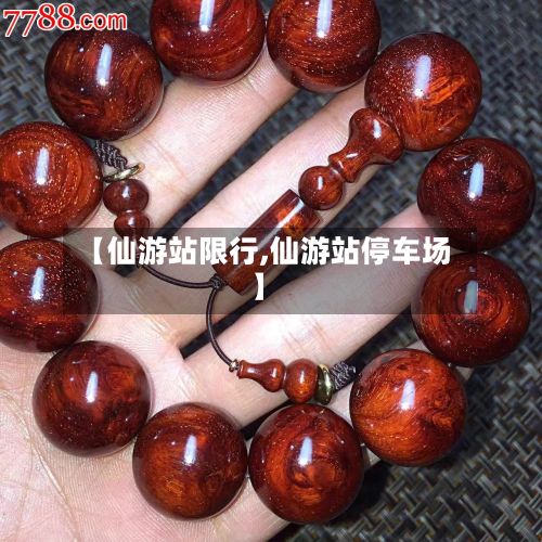 【仙游站限行,仙游站停车场】-第2张图片
