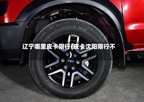 辽宁哪里皮卡限行(皮卡沈阳限行不)