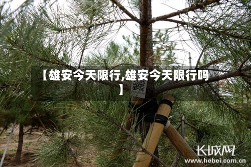 【雄安今天限行,雄安今天限行吗】-第2张图片