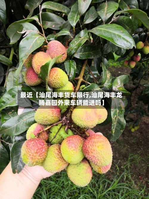 最近【汕尾海丰货车限行,汕尾海丰龙腾嘉园外来车辆能进吗】