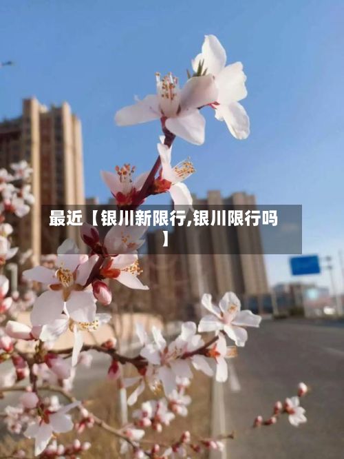 最近【银川新限行,银川限行吗】