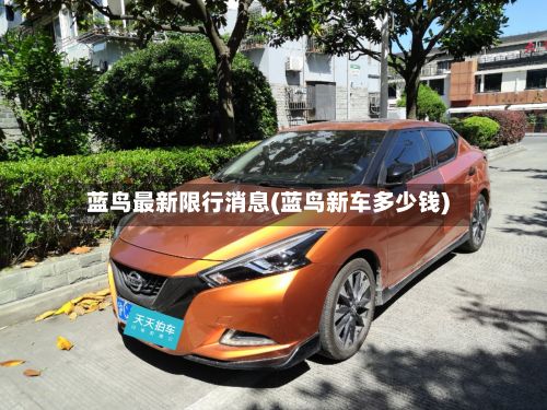 蓝鸟最新限行消息(蓝鸟新车多少钱)-第2张图片