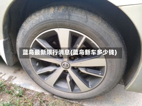 蓝鸟最新限行消息(蓝鸟新车多少钱)