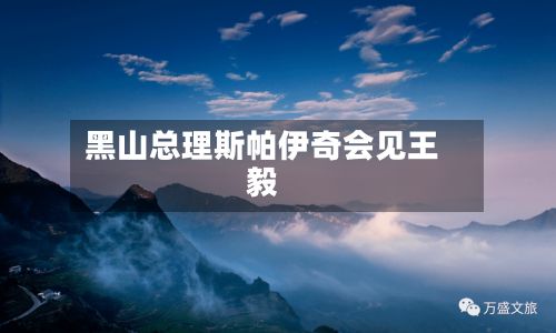黑山总理斯帕伊奇会见王毅