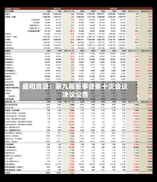 盛和资源：第九届董事会第十次会议决议公告