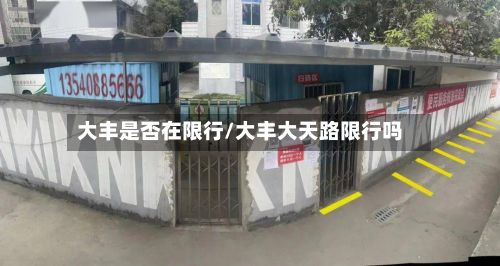 大丰是否在限行/大丰大天路限行吗-第3张图片