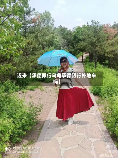 近来【承德限行乌龟承德限行外地车吗】-第2张图片
