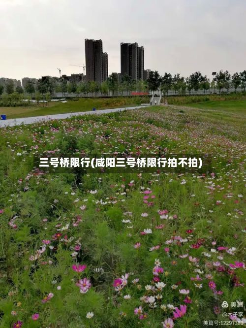 三号桥限行(咸阳三号桥限行拍不拍)-第3张图片