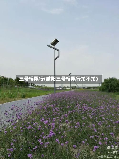 三号桥限行(咸阳三号桥限行拍不拍)