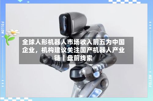 全球人形机器人市场收入前五为中国企业	，机构建议关注国产机器人产业链丨盘前线索-第2张图片