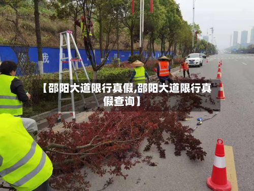 【邵阳大道限行真假,邵阳大道限行真假查询】-第2张图片
