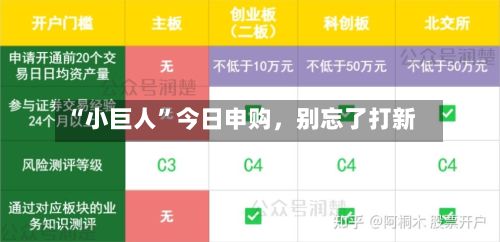 “小巨人	”今日申购，别忘了打新-第2张图片