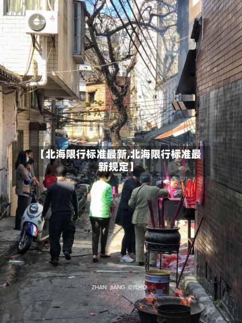 【北海限行标准最新,北海限行标准最新规定】