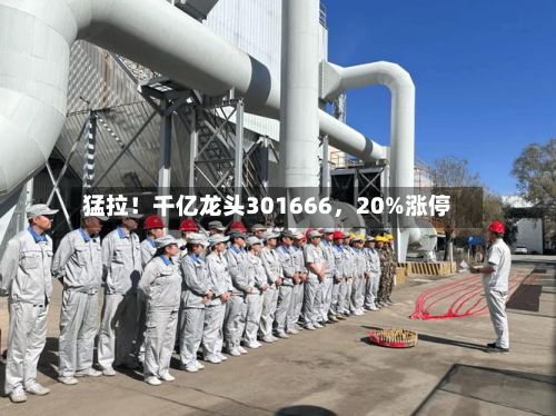 猛拉！千亿龙头301666，20%涨停