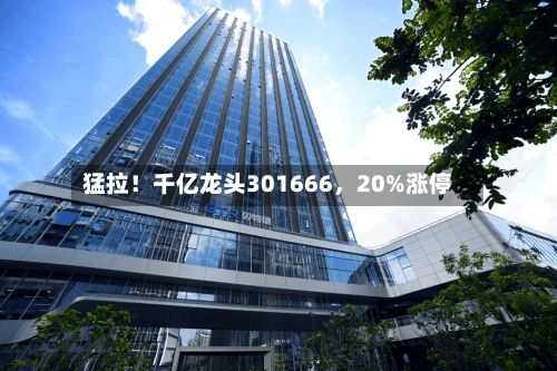 猛拉！千亿龙头301666	，20%涨停-第2张图片