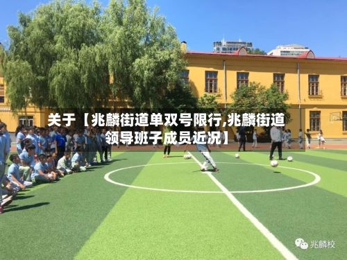 关于【兆麟街道单双号限行,兆麟街道领导班子成员近况】