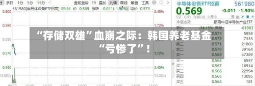 “存储双雄”血崩之际：韩国养老基金“亏惨了”！-第2张图片