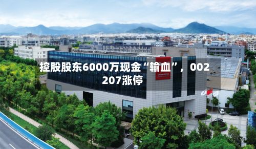 控股股东6000万现金“输血	”，002207涨停-第3张图片
