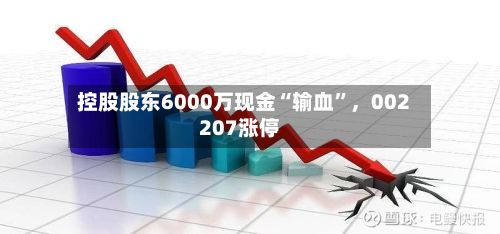 控股股东6000万现金“输血”，002207涨停