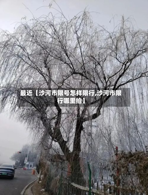 最近【沙河市限号怎样限行,沙河市限行哪里拍】-第2张图片