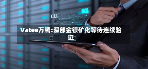 Vatee万腾:深部金银矿化等待连续验证-第3张图片