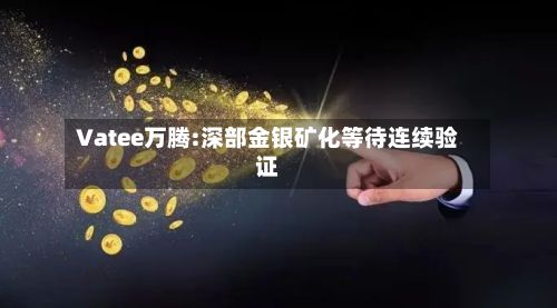 Vatee万腾:深部金银矿化等待连续验证-第1张图片