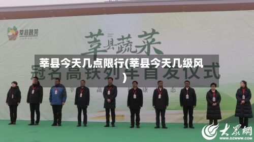 莘县今天几点限行(莘县今天几级风)-第2张图片