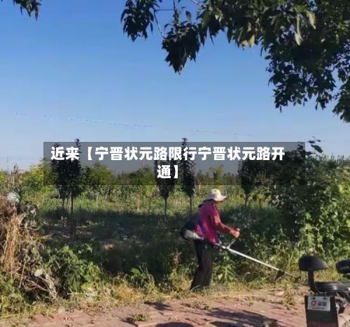 近来【宁晋状元路限行宁晋状元路开通】-第2张图片
