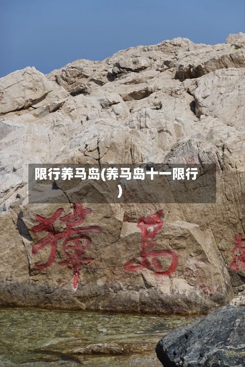 限行养马岛(养马岛十一限行)-第2张图片