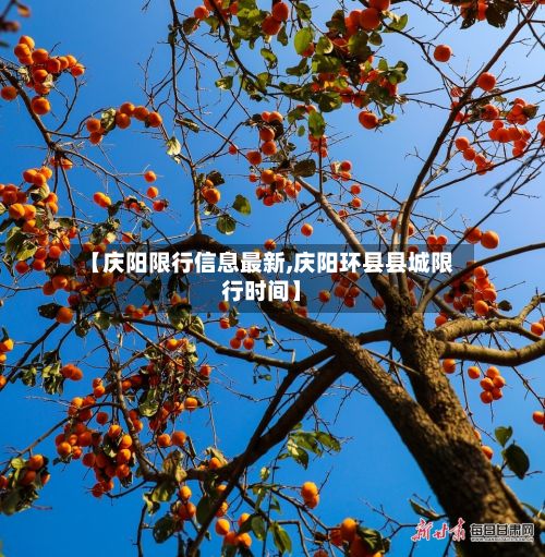 【庆阳限行信息最新,庆阳环县县城限行时间】