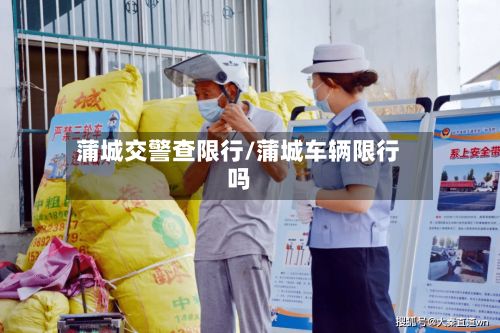 蒲城交警查限行/蒲城车辆限行吗-第2张图片