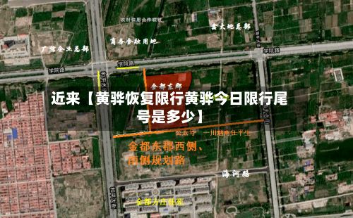 近来【黄骅恢复限行黄骅今日限行尾号是多少】-第2张图片