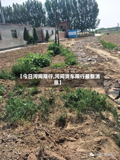 【今日河间限行,河间货车限行最新消息】