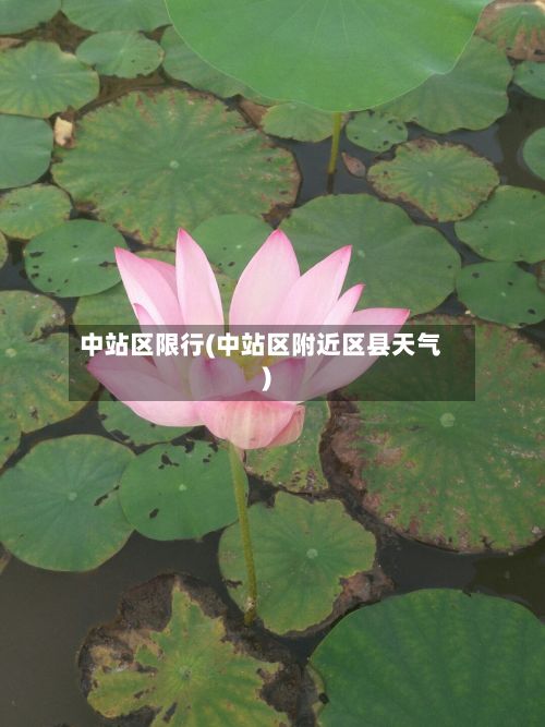 中站区限行(中站区附近区县天气)-第2张图片