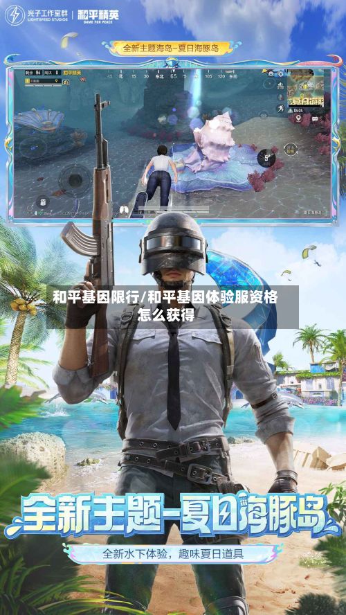 和平基因限行/和平基因体验服资格怎么获得-第3张图片