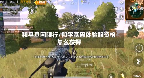 和平基因限行/和平基因体验服资格怎么获得