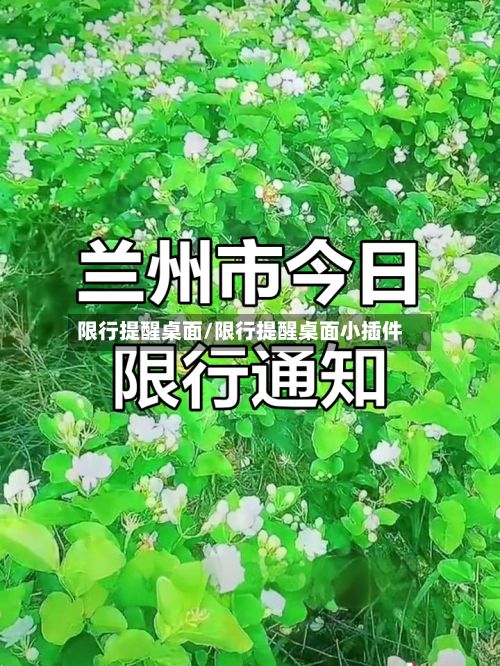 限行提醒桌面/限行提醒桌面小插件-第3张图片