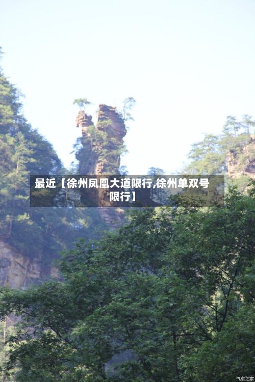 最近【徐州凤凰大道限行,徐州单双号限行】-第3张图片