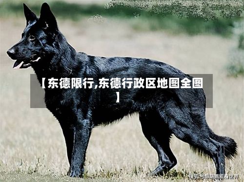 【东德限行,东德行政区地图全图】
