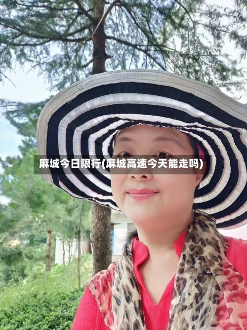麻城今日限行(麻城高速今天能走吗)