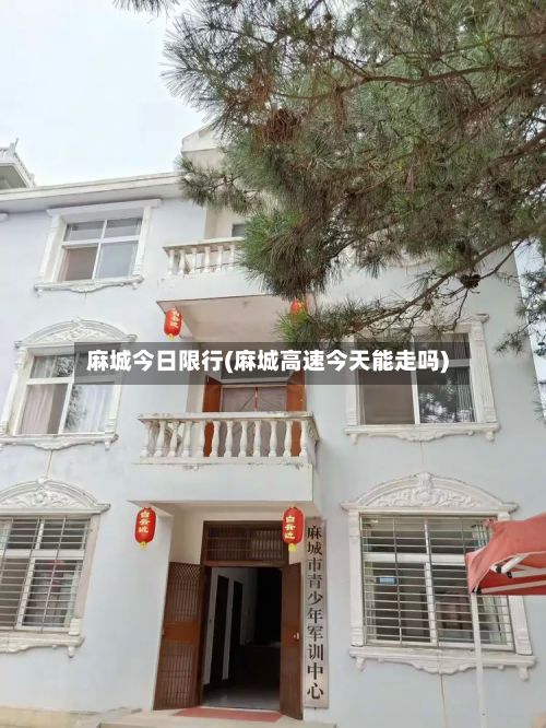 麻城今日限行(麻城高速今天能走吗)-第2张图片