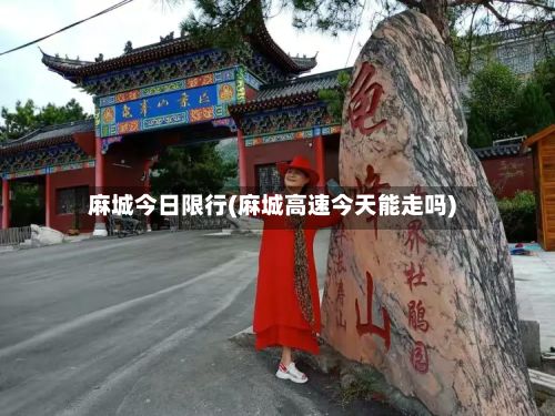 麻城今日限行(麻城高速今天能走吗)-第3张图片